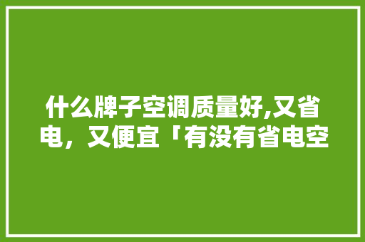 什么牌子空调质量好,又省电，又便宜「有没有省电空调的」 什么牌子空调质量好,又省电，又便宜「有没有省电空调的」 户内维修