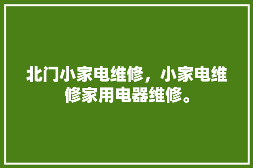 北门小家电维修，小家电维修家用电器维修。 北门小家电维修，小家电维修家用电器维修。 家电维修