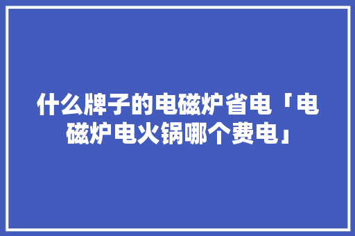 什么牌子的电磁炉省电「电磁炉电火锅哪个费电」 什么牌子的电磁炉省电「电磁炉电火锅哪个费电」 家电维修