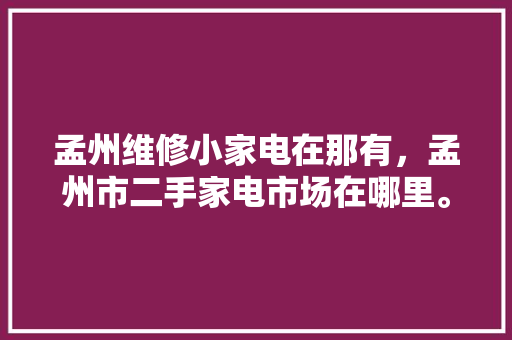 孟州维修小家电在那有，孟州市二手家电市场在哪里。 孟州维修小家电在那有，孟州市二手家电市场在哪里。 家电维修