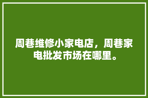 周巷维修小家电店，周巷家电批发市场在哪里。 周巷维修小家电店，周巷家电批发市场在哪里。 家电维修