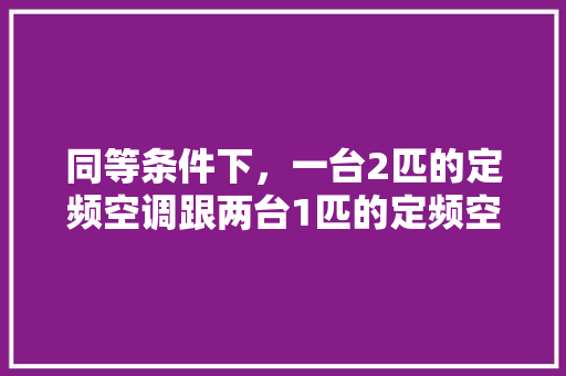 同等条件下，一台2匹的定频空调跟两台1匹的定频空调哪个更省电「两匹空调怎么省电的」 同等条件下，一台2匹的定频空调跟两台1匹的定频空调哪个更省电「两匹空调怎么省电的」 家电维修