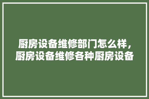厨房设备维修部门怎么样，厨房设备维修各种厨房设备。 厨房设备维修部门怎么样，厨房设备维修各种厨房设备。 厨房维修