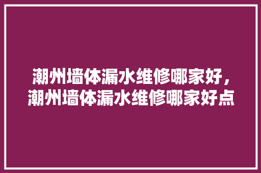 潮州墙体漏水维修哪家好，潮州墙体漏水维修哪家好点。 潮州墙体漏水维修哪家好，潮州墙体漏水维修哪家好点。 墙体维修