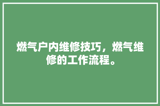 燃气户内维修技巧，燃气维修的工作流程。 燃气户内维修技巧，燃气维修的工作流程。 户内维修