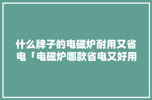 什么牌子的电磁炉耐用又省电「电磁炉哪款省电又好用」 什么牌子的电磁炉耐用又省电「电磁炉哪款省电又好用」 家电维修