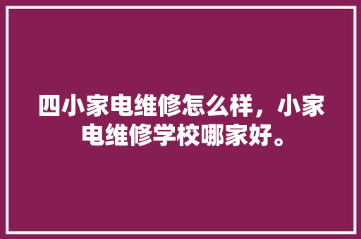四小家电维修怎么样，小家电维修学校哪家好。 四小家电维修怎么样，小家电维修学校哪家好。 家电维修