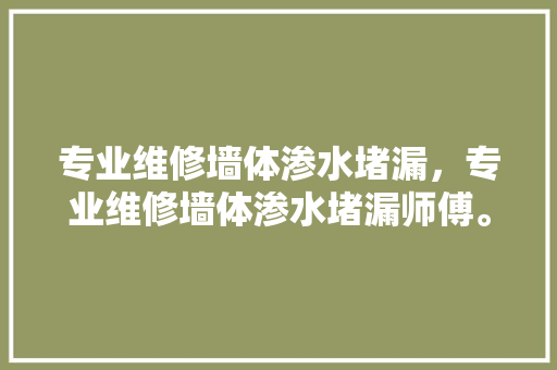 专业维修墙体渗水堵漏，专业维修墙体渗水堵漏师傅。 专业维修墙体渗水堵漏，专业维修墙体渗水堵漏师傅。 墙体维修