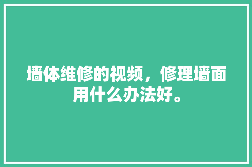 墙体维修的视频，修理墙面用什么办法好。 墙体维修的视频，修理墙面用什么办法好。 墙体维修