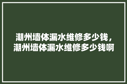 潮州墙体漏水维修多少钱，潮州墙体漏水维修多少钱啊。 潮州墙体漏水维修多少钱，潮州墙体漏水维修多少钱啊。 墙体维修