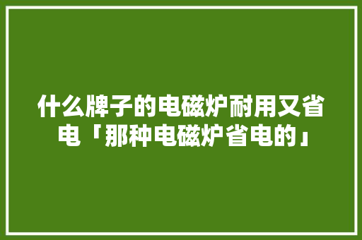 什么牌子的电磁炉耐用又省电「那种电磁炉省电的」 什么牌子的电磁炉耐用又省电「那种电磁炉省电的」 厨房维修