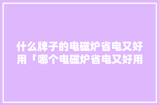 什么牌子的电磁炉省电又好用「哪个电磁炉省电又好用」 什么牌子的电磁炉省电又好用「哪个电磁炉省电又好用」 家电维修