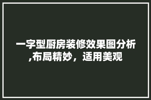 一字型厨房装修效果图分析,布局精妙，适用美观 一字型厨房装修效果图分析,布局精妙，适用美观 户内维修
