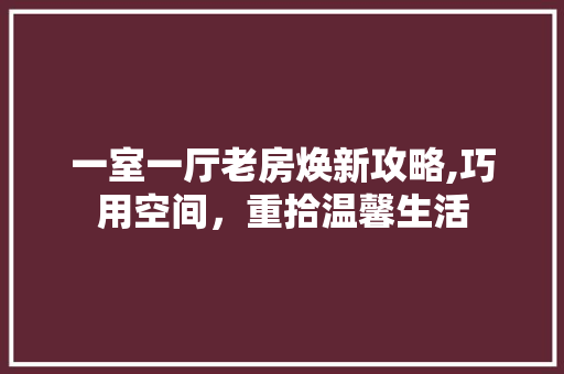 一室一厅老房焕新攻略,巧用空间，重拾温馨生活 一室一厅老房焕新攻略,巧用空间，重拾温馨生活 户内维修