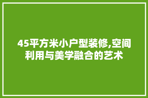 45平方米小户型装修,空间利用与美学融合的艺术 45平方米小户型装修,空间利用与美学融合的艺术 户内维修