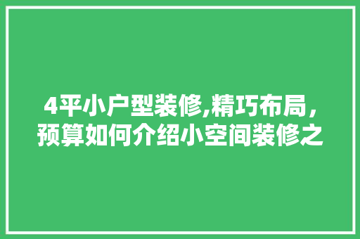 4平小户型装修,精巧布局，预算如何介绍小空间装修之路 4平小户型装修,精巧布局，预算如何介绍小空间装修之路 居家维修
