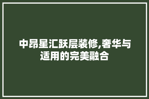 中昂星汇跃层装修,奢华与适用的完美融合 中昂星汇跃层装修,奢华与适用的完美融合 厨房维修