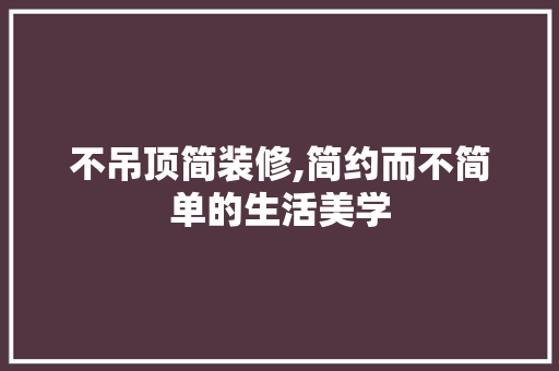 不吊顶简装修,简约而不简单的生活美学 不吊顶简装修,简约而不简单的生活美学 厨房维修