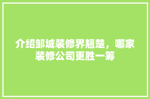 介绍邹城装修界翘楚，哪家装修公司更胜一筹 介绍邹城装修界翘楚，哪家装修公司更胜一筹 厨房维修