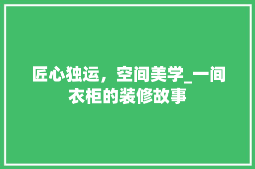 匠心独运，空间美学_一间衣柜的装修故事 匠心独运，空间美学_一间衣柜的装修故事 家电维修