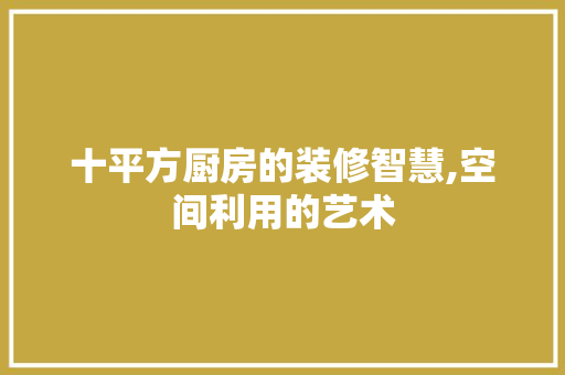 十平方厨房的装修智慧,空间利用的艺术 十平方厨房的装修智慧,空间利用的艺术 户内维修