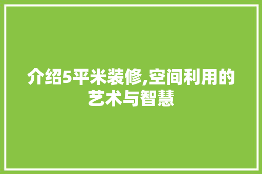 介绍5平米装修,空间利用的艺术与智慧 介绍5平米装修,空间利用的艺术与智慧 厨房维修