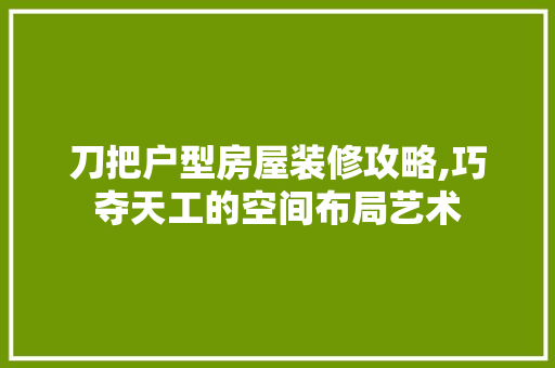 刀把户型房屋装修攻略,巧夺天工的空间布局艺术 刀把户型房屋装修攻略,巧夺天工的空间布局艺术 户内维修