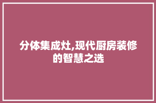 分体集成灶,现代厨房装修的智慧之选 分体集成灶,现代厨房装修的智慧之选 居家维修