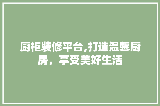 厨柜装修平台,打造温馨厨房，享受美好生活 厨柜装修平台,打造温馨厨房，享受美好生活 居家维修