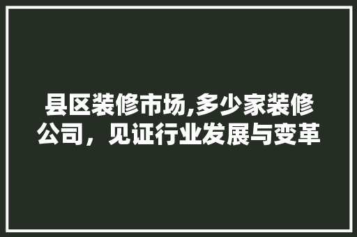 县区装修市场,多少家装修公司，见证行业发展与变革 县区装修市场,多少家装修公司，见证行业发展与变革 墙体维修