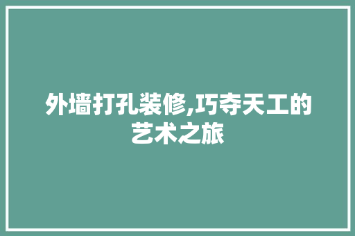 外墙打孔装修,巧夺天工的艺术之旅 外墙打孔装修,巧夺天工的艺术之旅 家电维修