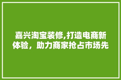 嘉兴淘宝装修,打造电商新体验，助力商家抢占市场先机 嘉兴淘宝装修,打造电商新体验，助力商家抢占市场先机 厨房维修