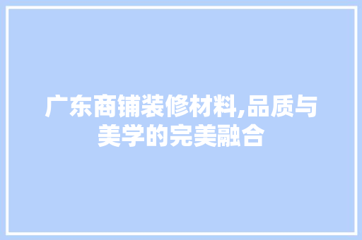 广东商铺装修材料,品质与美学的完美融合 广东商铺装修材料,品质与美学的完美融合 户内维修