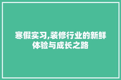 寒假实习,装修行业的新鲜体验与成长之路 家电维修