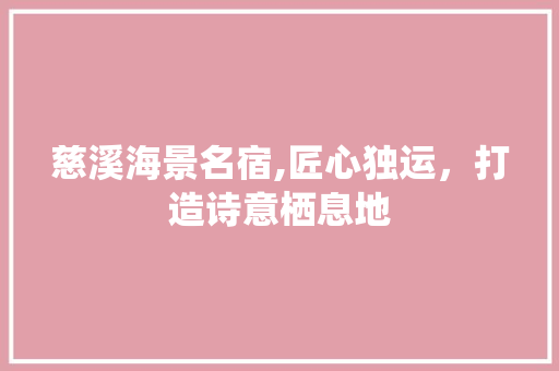 慈溪海景名宿,匠心独运，打造诗意栖息地 慈溪海景名宿,匠心独运，打造诗意栖息地 厨房维修