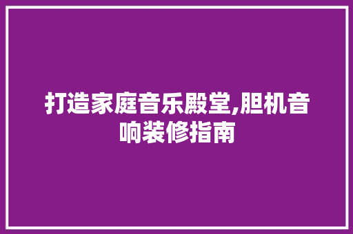 打造家庭音乐殿堂,胆机音响装修指南 打造家庭音乐殿堂,胆机音响装修指南 墙体维修