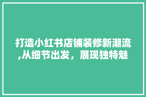 打造小红书店铺装修新潮流,从细节出发，展现独特魅力 打造小红书店铺装修新潮流,从细节出发，展现独特魅力 厨房维修