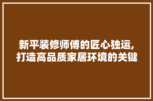 新平装修师傅的匠心独运,打造高品质家居环境的关键要素 新平装修师傅的匠心独运,打造高品质家居环境的关键要素 户内维修