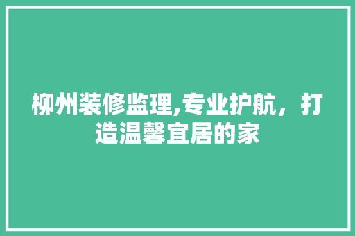 柳州装修监理,专业护航，打造温馨宜居的家 柳州装修监理,专业护航，打造温馨宜居的家 厨房维修