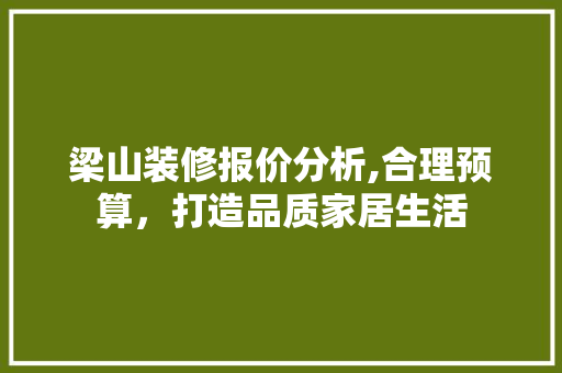 梁山装修报价分析,合理预算，打造品质家居生活 梁山装修报价分析,合理预算，打造品质家居生活 厨房维修