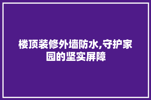 楼顶装修外墙防水,守护家园的坚实屏障 楼顶装修外墙防水,守护家园的坚实屏障 家电维修