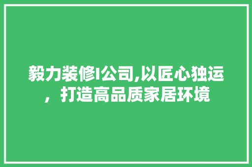 毅力装修I公司,以匠心独运，打造高品质家居环境 毅力装修I公司,以匠心独运，打造高品质家居环境 厨房维修
