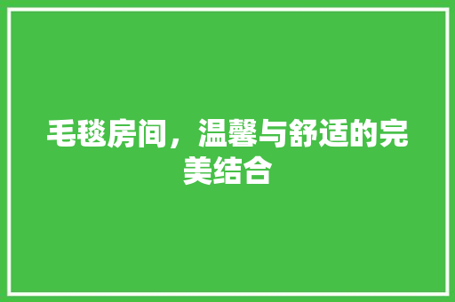 毛毯房间，温馨与舒适的完美结合 毛毯房间，温馨与舒适的完美结合 墙体维修