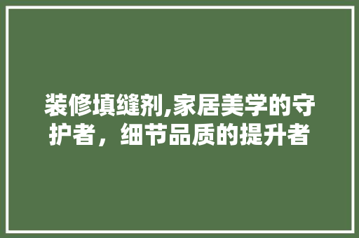 装修填缝剂,家居美学的守护者，细节品质的提升者 装修填缝剂,家居美学的守护者，细节品质的提升者 厨房维修