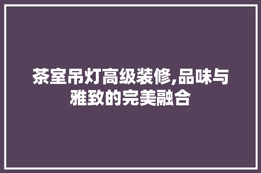 茶室吊灯高级装修,品味与雅致的完美融合 茶室吊灯高级装修,品味与雅致的完美融合 户内维修