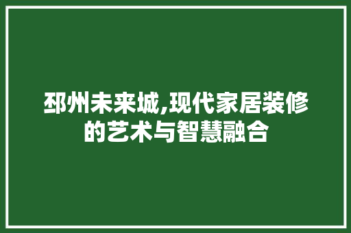 邳州未来城,现代家居装修的艺术与智慧融合 邳州未来城,现代家居装修的艺术与智慧融合 家电维修
