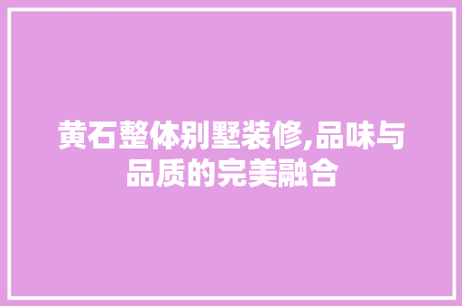 黄石整体别墅装修,品味与品质的完美融合 黄石整体别墅装修,品味与品质的完美融合 厨房维修