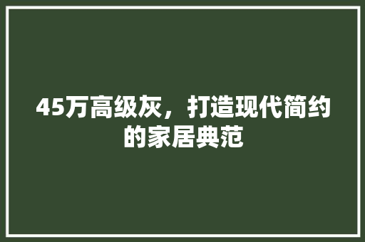 45万高级灰，打造现代简约的家居典范 45万高级灰，打造现代简约的家居典范 厨房维修