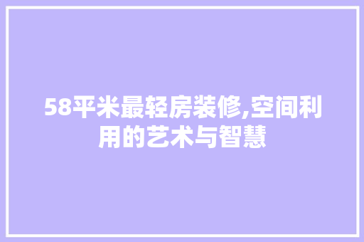 58平米最轻房装修,空间利用的艺术与智慧 58平米最轻房装修,空间利用的艺术与智慧 户内维修