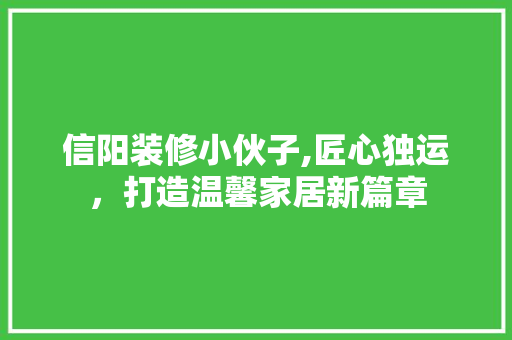 信阳装修小伙子,匠心独运，打造温馨家居新篇章 信阳装修小伙子,匠心独运，打造温馨家居新篇章 居家维修